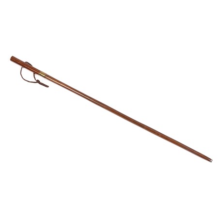 Walking Cane